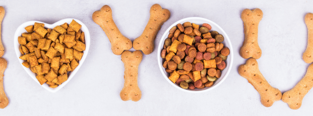 Healthy Homemade Treat Recipes for Pets