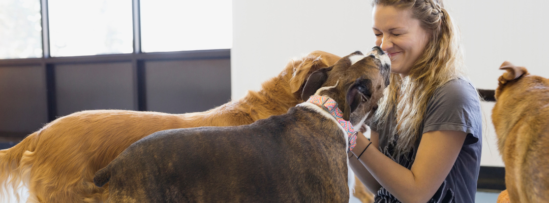 The Benefits of Doggy Daycare: Ensuring Your Pooch’s Happiness and Well-being