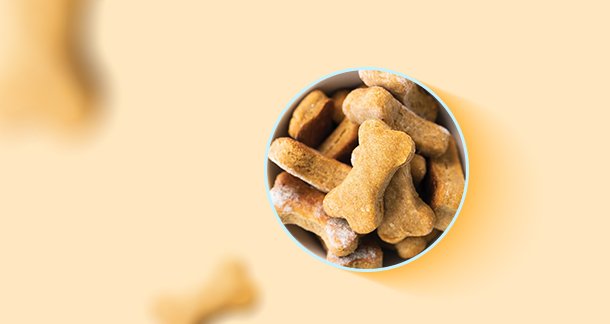A Sweet Treat for your furry creature with a sweet tooth!