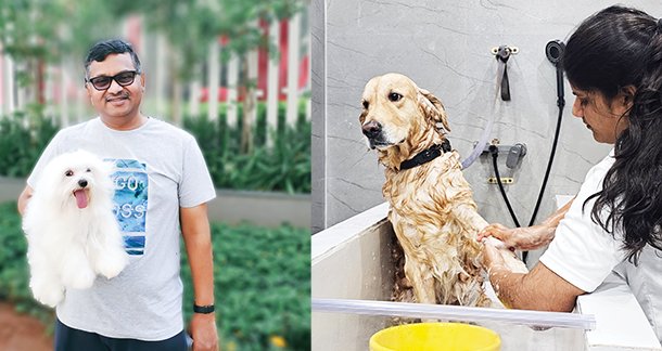 Introducing Petfolk: Your Pet’s Social Hub and Ultimate Care Companion