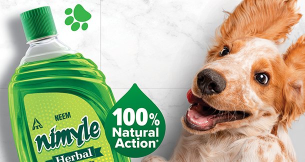 Its Pet Day! ITC Nimyle Shares Playful Indoor Activities for your Four-Legged Pals