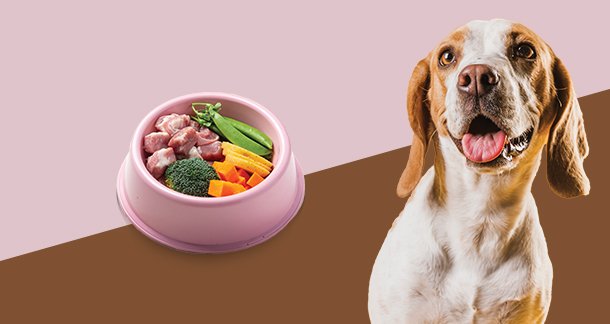 Preparing a NutritiousMeal for your Pets