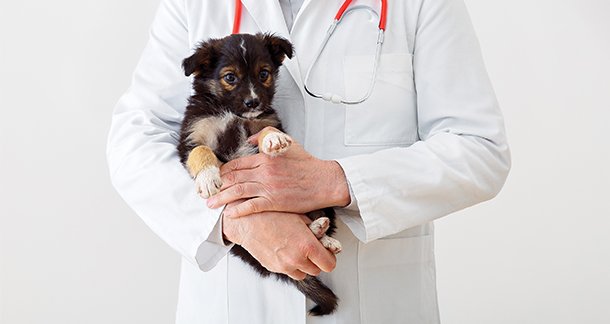 G2_The-Crucial-Role-of-Vaccination
