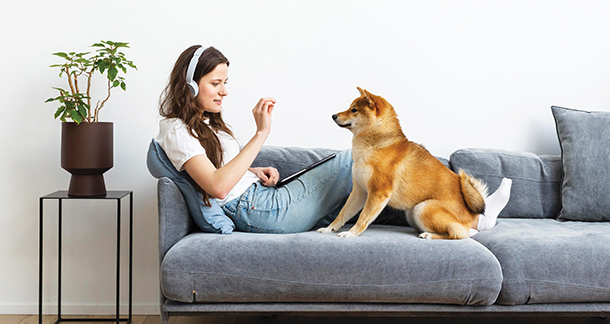 Turning Your Home into a Pawsome Paradise:A Guide to Pet-Proofing Your Apartment