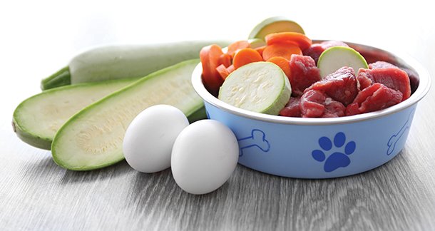 L2_The-ultimate-guide-to-adult-dog-nutrition