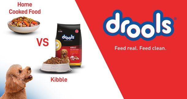 The Importance of Balanced Pet Nutrition: Why Packaged Food Is a Better Choice