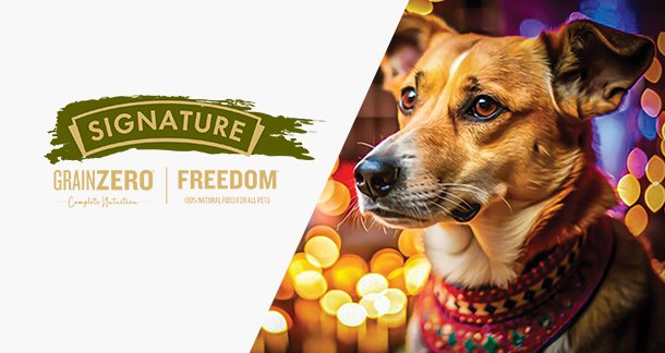Caring for Your Pets During Indian Festivities: A Guide to Keeping Your Furry Friends Safe and Happy