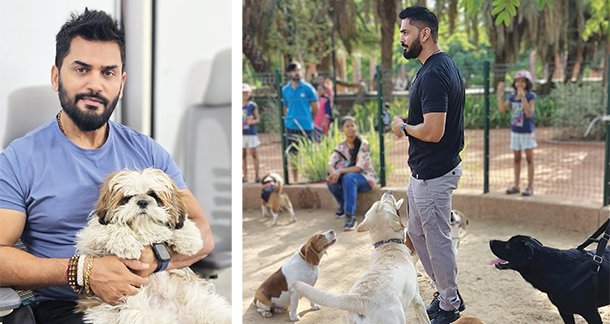 Everyday Training habits for pet parents