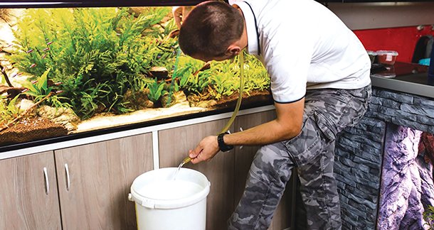 L3_Understanding-Various-Factors-to-Prevent-Your-Fish-from-Dying-in-Winter