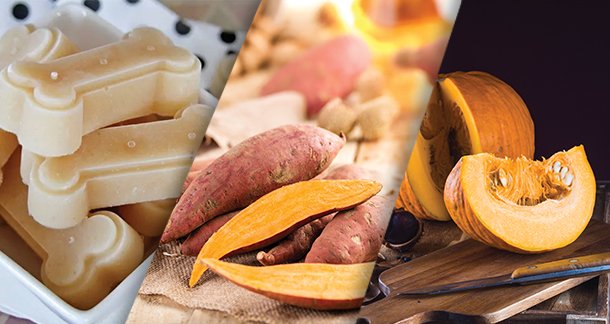 F2_Warming-Foods-and-Treats-in-Winter-to-Keep-Your-Pet-Energised