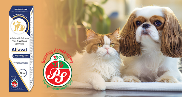 Alfavat: A Homeopathic Medicine for Strength, Vitality, and Overall Pet Well-Being
