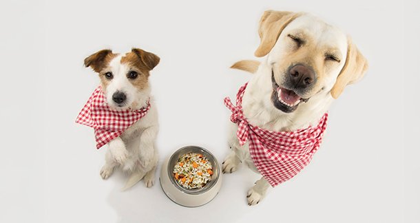 Home-Cooked Food for Dogs: A Healthy Alternative to Commercial Pet Food