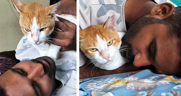 A2_Pet-of-the-month