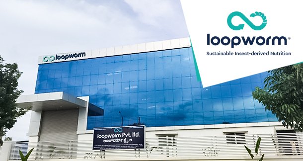 Loopworm Raises $3.25M to Scale Silkworm-Based Recombinant Protein Tech
