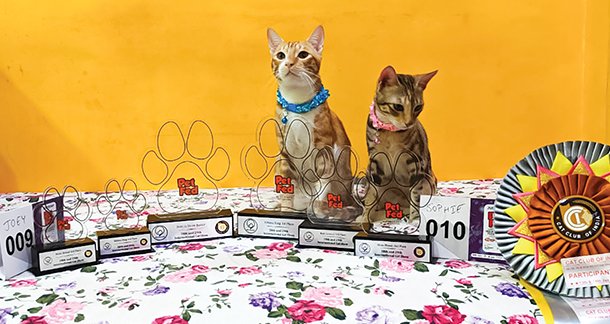 A4_Pet-of-the-Month
