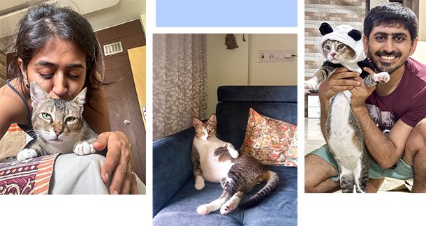 A2_A-Love-Letter-to-Peppa-and-Demi