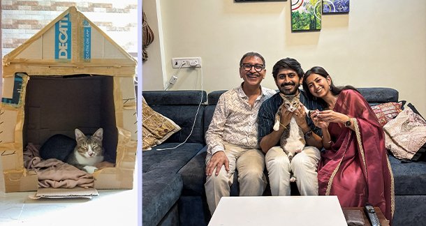 A4_A-Love-Letter-to-Peppa-and-Demi