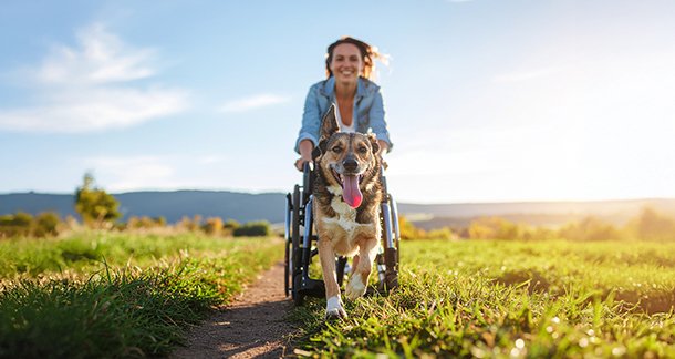 B2_Caring-for-Disabled-Dogs