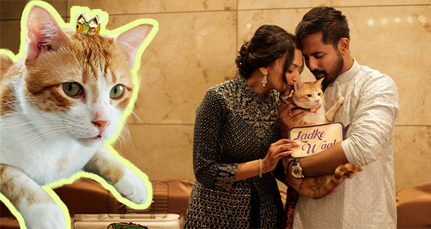 From the Lobby to Our Laps: Copper’s Story