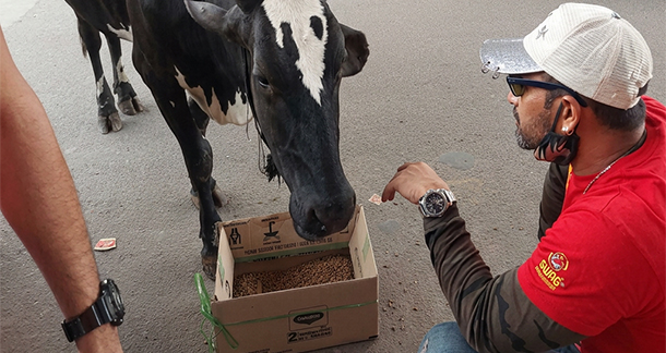 SWAG Foundation: Compassion, Care, and Commitment to Animal Welfare