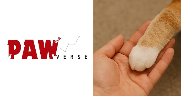 PawVerse: In Between Care and Confusion
