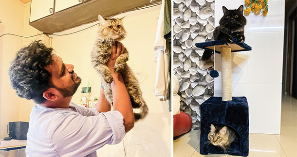 Double the Purrs, Double the Love: Meet My Furry Family, Jasmine and Bagheera!